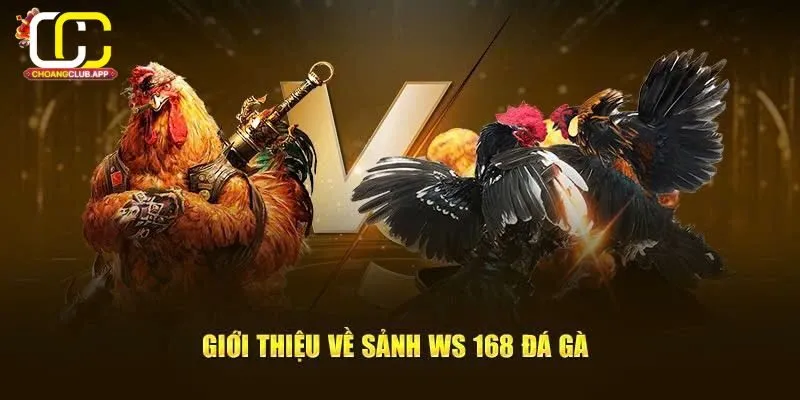 Giới Thiệu Về Ws168 Đá Gà Trên Choangclub